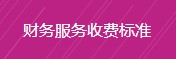 财务服务收费标准